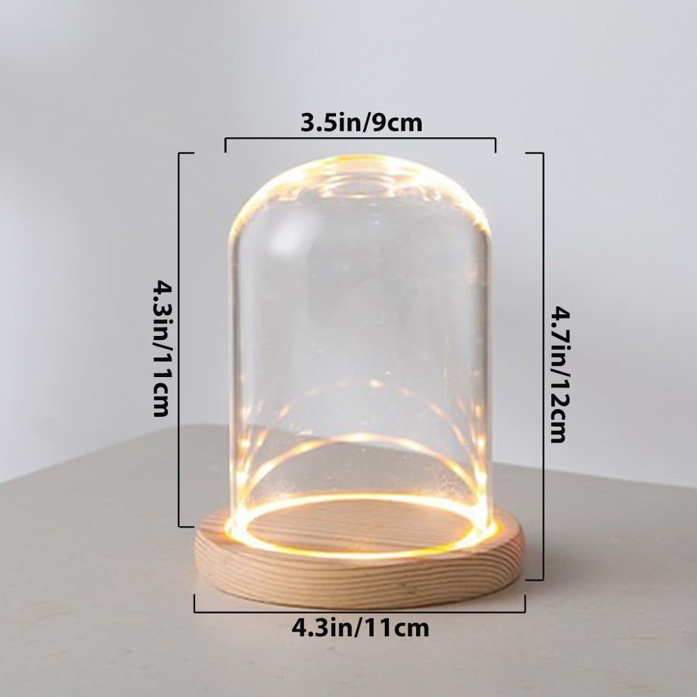 Nynelly 3.54" D X 4.33" H Clear Glass Dome Cloche with Natural Wood LED Lights Base, Display Bell Jar Ornament，Countertop Bell Jar Display Dome Clear Glass Display Case Deco