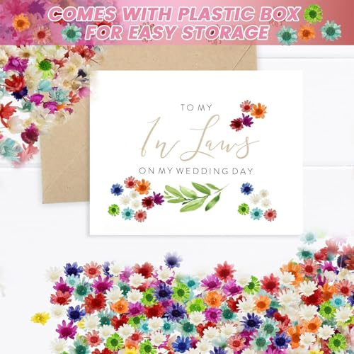 800 PCS Mini Dried Pressed Flowers for Crafting | Natural Real Flowers with Tweezers