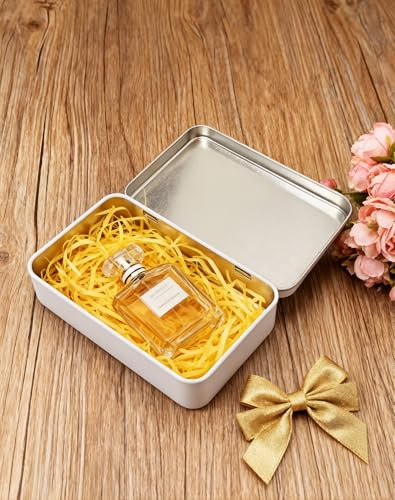 Large White Metal Storage Box with Hinged Lid - 2 Pcs, 5.9x3.5x1.2in