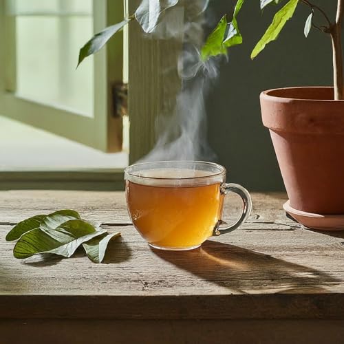 Dried Guava Leaves Tea - 100+ Natural, Caffeine-Free Herbal Infusion