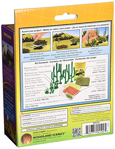 Desert Plants Diorama Kit by Woodland Scenics - Arts & Crafts