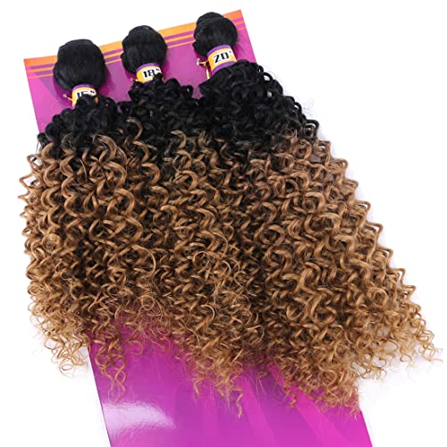 REYNA Golden Ombre Afro Kinky Curly Hair Bundles - 3 Piece Set (16/18/20 Inches)