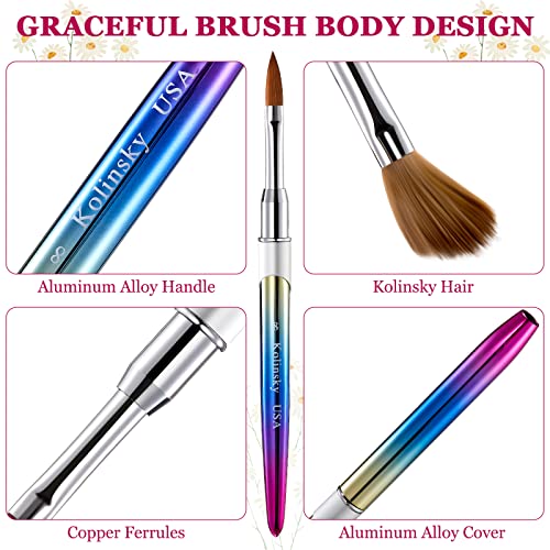 Kolinsky Acrylic Nail Brush Set - 4 Sizes for Nail Art