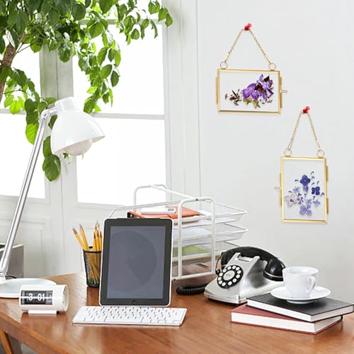 YUXIANLB 4 Pcs Mini Double Glass Frame for Pressed Flowers - 2x3 Inch Gold Wall Hanging Decor