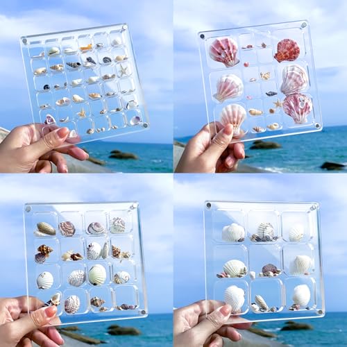 Seashell Display Case with Magnetic Closure | Acrylic Organizer with 18 Grids