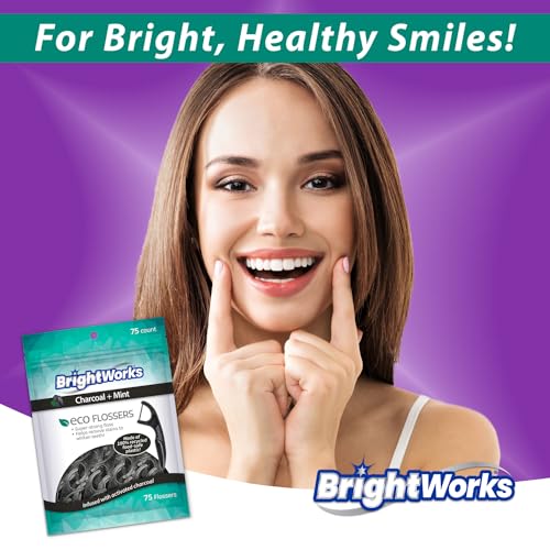 BrightWorks Eco-Friendly Charcoal Mint Floss Picks - 225 Count