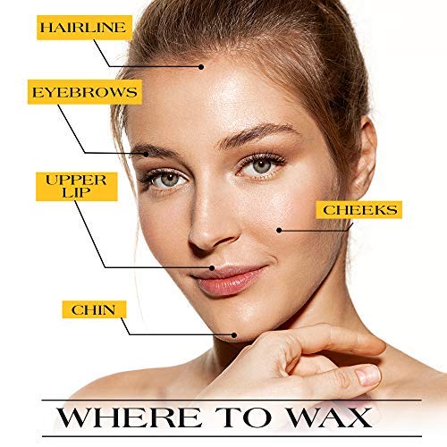GiGi Facial Honee Wax - 8 oz Hair Removal Wax for Sensitive Skin