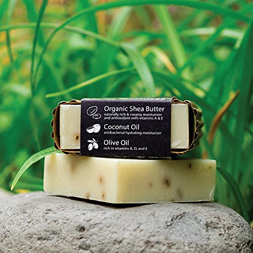 Organic Shea Butter Bar Soap - Rosemary Mint, Set of 3 | Moisturizing Vegan Soap with Coconut & Olive Oil