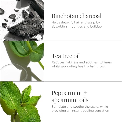 Briogeo Scalp Revival Charcoal + Tea Tree Scalp Treatment | Leave-In Serum for Dry, Flaky, or Itchy Scalp | Hydrating & Balancing | Vegan & Cruelty Free | 1 oz