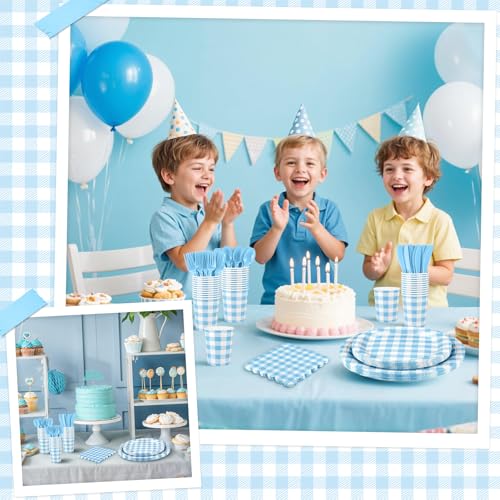 175 Pcs Blue Gingham Party Supplies Set for 25 Guests
