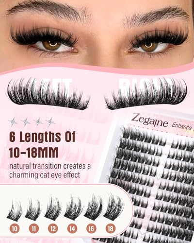 Zegaine Manga Cat Eye Lash Cluster Kit with Bond, Seal, and Tweezers