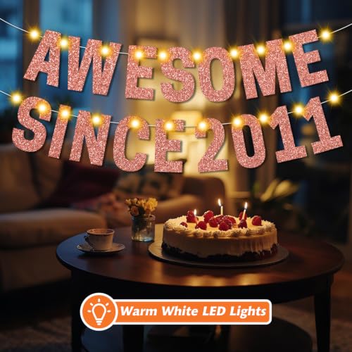 Rose Gold 15th Birthday Decorations with LED Lights | Awesome Since 2011 Banner