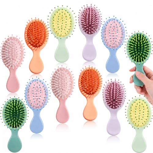 12 Pack Mini Hair Brushes - Travel Detangling Brushes for All Hair Types