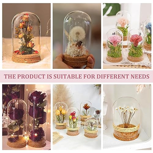 BENECREAT Set of 2 Glass Display Domes with Cork Base - 3.14x4.6 inch Cloche Jars for Flowers & Crafts