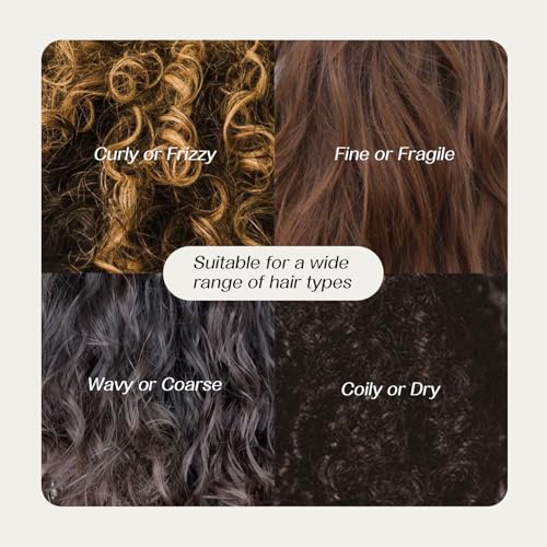 Spes Dry Shampoo Oil Control Gel 0.85 Fl Oz - No-Rinse Volumizing Hair Care
