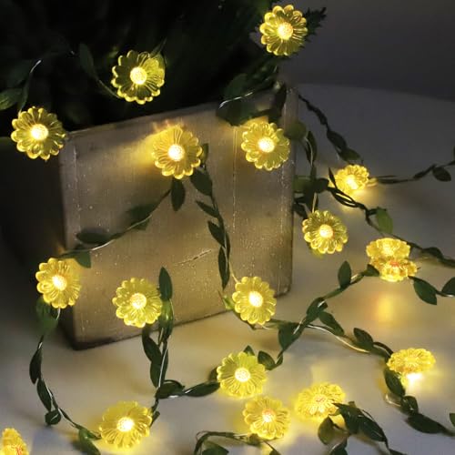 Flower String Lights with Remote Control - 30 LED Copper Wire Fairy Lights