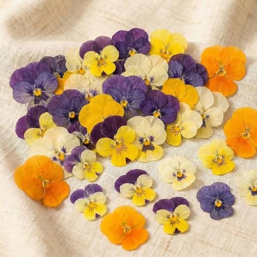 80 Pcs Dried Edible Flowers for Cake Decorating & Crafts