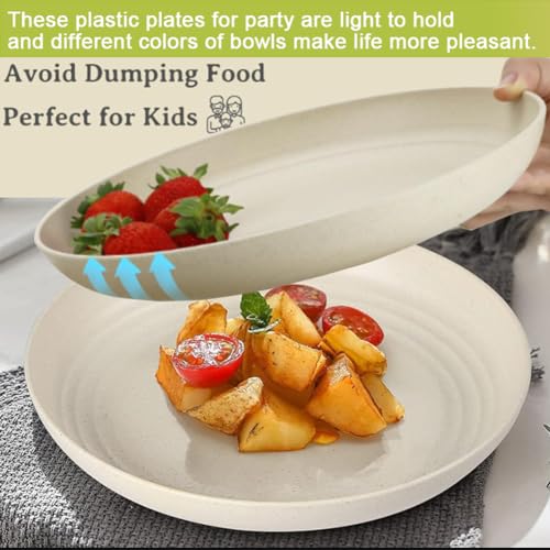 K Y KANGYUN 10 Inch Unbreakable Wheat Straw Dinner Plates Set of 4