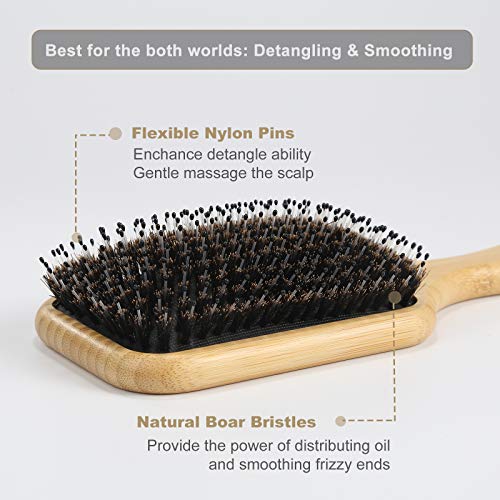 BESTOOL Hair Brush, Boar & Nylon Bristle Brush for All (Women, Men,
