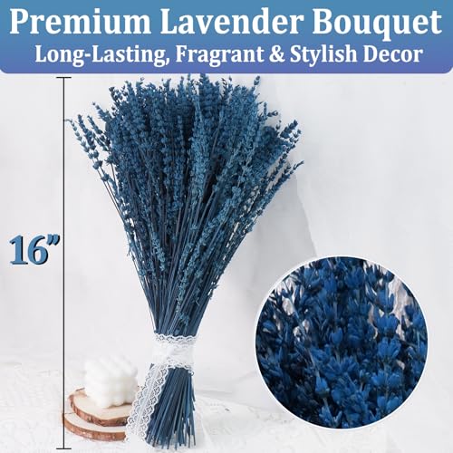 2 Bundles of Premium Preserved Blue Lavender Flowers - 17" Aromatic Stems for Home Decor & Crafts