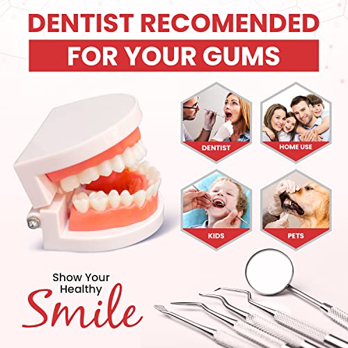 Dental Duty Professional Teeth Cleaning Kit – Stainless Steel - Red