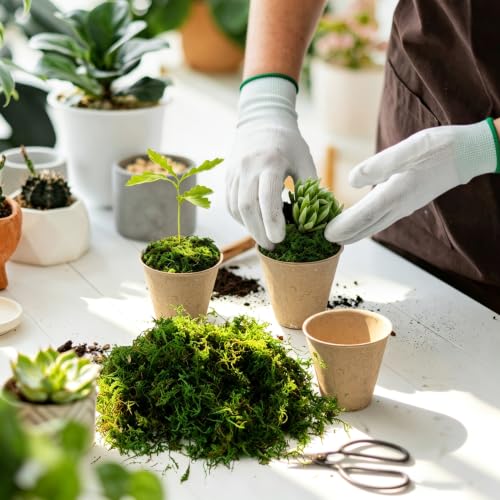 10oz Artificial Green Moss for Crafts | Includes Gloves & Tweezers