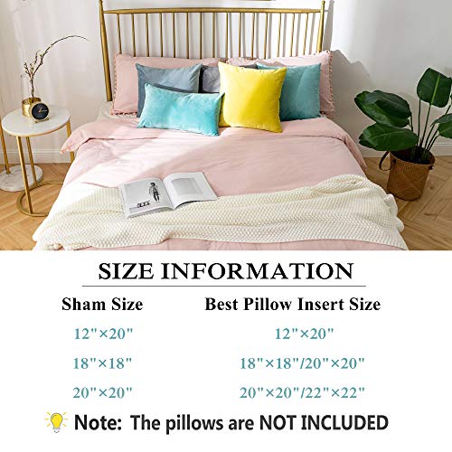Stellhome Pack of 2 Velvet Throw Pillow Covers, 12x20 inch, Silver Blue
