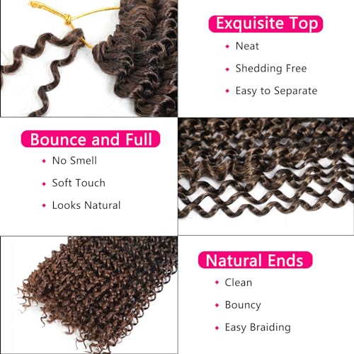 Ahrencan 10 Inch Passion Twist Crochet Hair - 5 Pack T1B/30