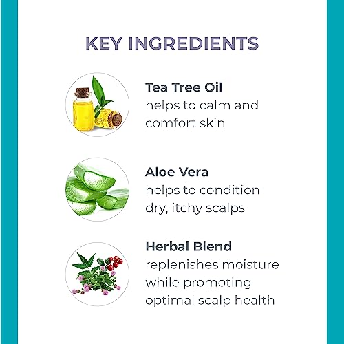 DERMA-E Scalp Relief Treatment ? Dry Scalp Moisturizer Serum ? Tea Tree Oil, Menthol and Aloe Vera Cool and Soothe Itchy Scalp and Promote Scalp Health, 1 Fl Oz