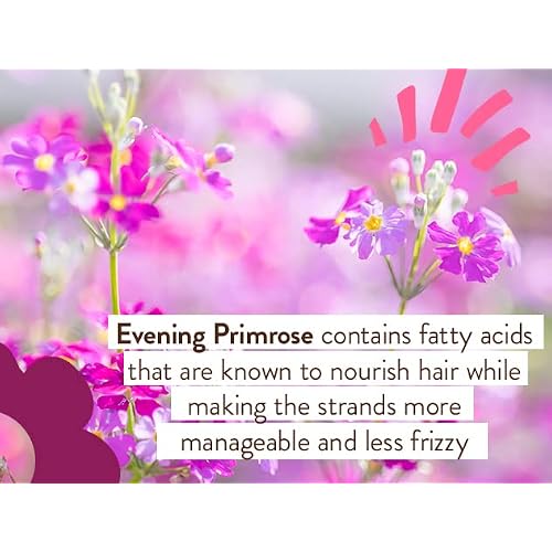 Babo Botanicals, Detangler Instantly Smooth Berry Primrose, 8 Fl Oz