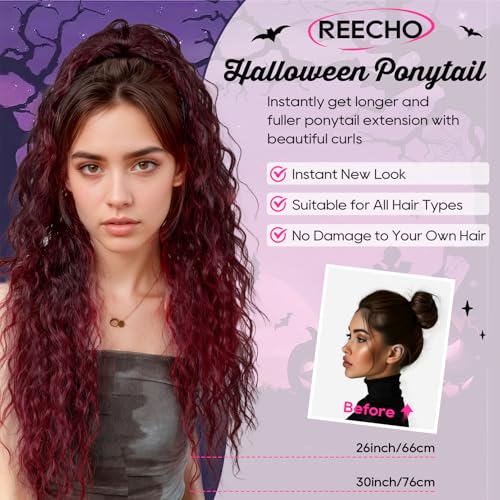 REECHO Ponytail Extension 30