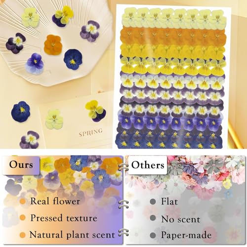 80 Pcs Dried Edible Flowers for Cake Decorating & Crafts