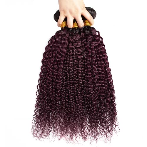 YOUNGHANN 1B/99J Kinky Curly Human Hair Bundles - 10, 12, 14 Inch Two Tone Black to Burgundy