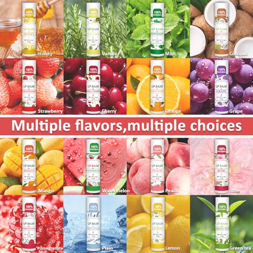 VISRIE 16-Pack Natural Lip Balm Set with 16 Flavors