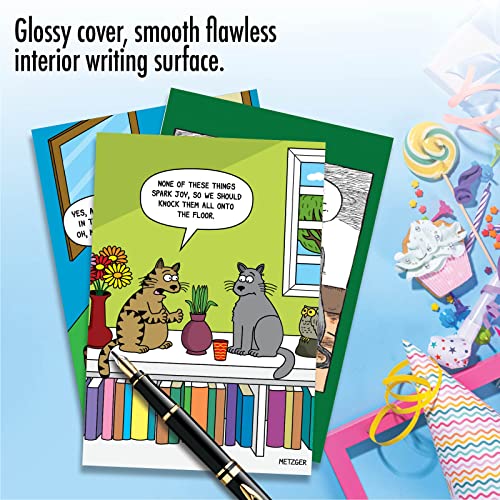 Funny Cat Birthday Cards Assorted Pack of 3 with Envelopes