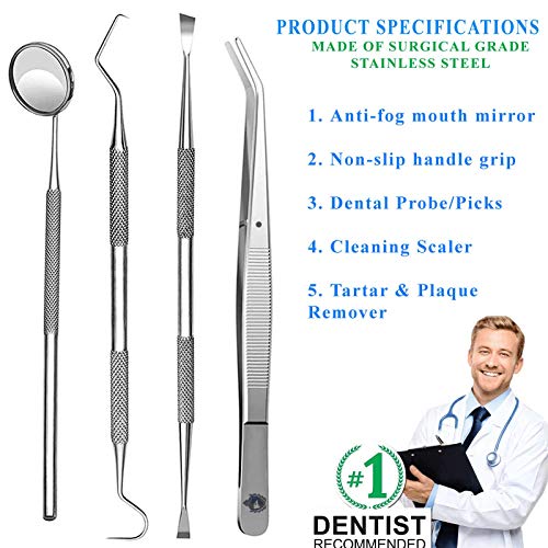Krisp Beauty 4 Pc Dental Tools Kit - Stainless Steel Teeth Cleaner & Tartar Remover