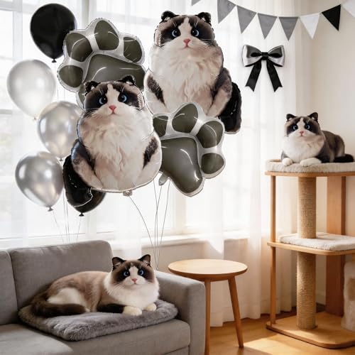 Birman Cat Foil Balloons Set - Cat Paw & Sitting Cat Decorations
