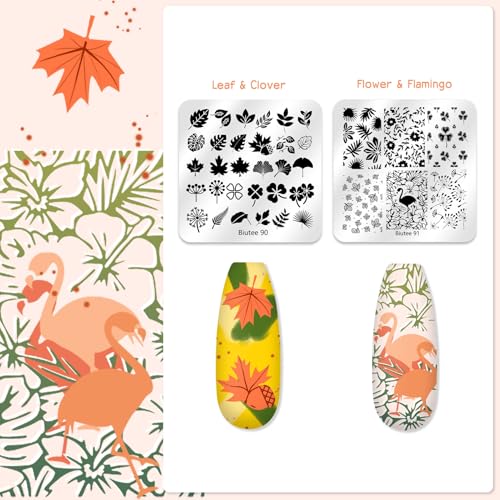 Biutee 20PCS Nail Art Stamping Kit with Plates & Silicone Stamper
