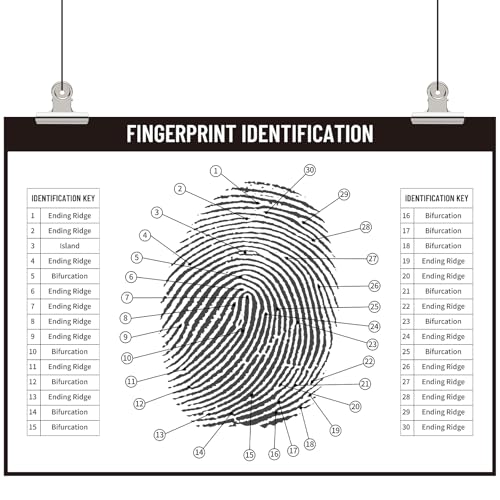 Fingerprint Chart Poster for Detective Parties - 24.4" x 33.5" Canvas Print
