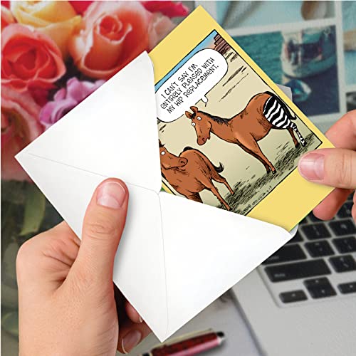 Funny Hip Replacement Get Well Cards - Pack of 3 with Envelopes