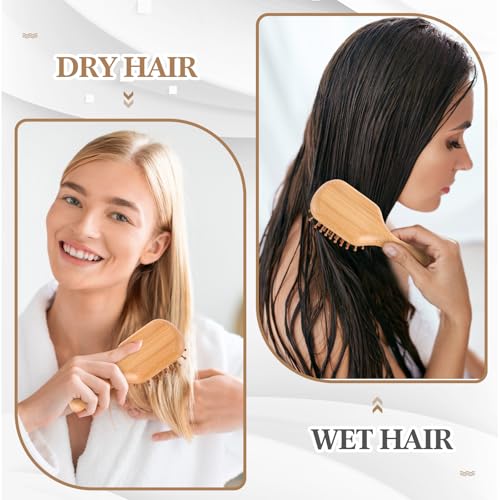 FoldTier Mini Bamboo Hair Brush Pack - 6 Travel Brushes