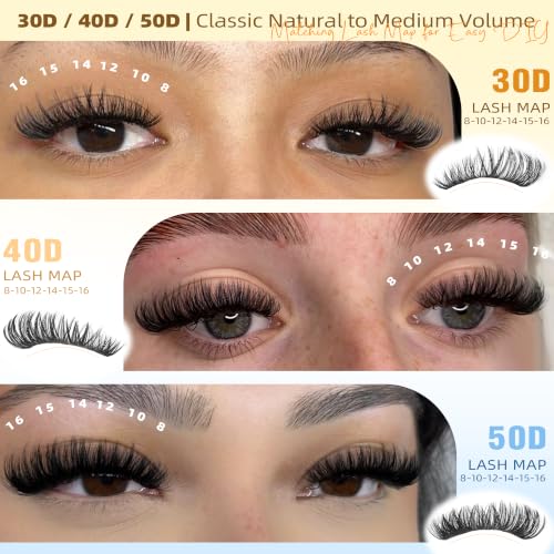 Winifred Lash Clusters Kit A-30D/40D/50D/60D/80D/100D 696 Pcs Eyelash Extensions