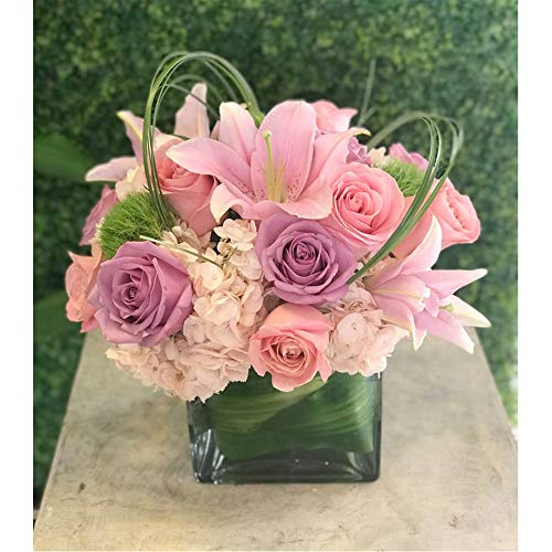 Clear Glass Cube Vase & Candle Holder - 4" x 4" Elegant Floral Accent