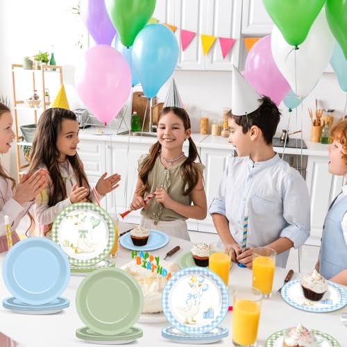 48PCS Silly Goose Party Paper Plates - 7" Birthday Tableware