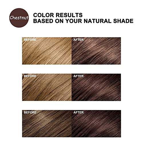 Lymznus Chestnut Brown 3-in-1 Hair Color Shampoo - Herbal Dye & Conditioner