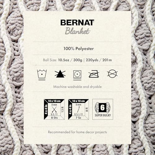 Bernat Blanket Yarn - Light Teal, 300g Soft Chenille Yarn