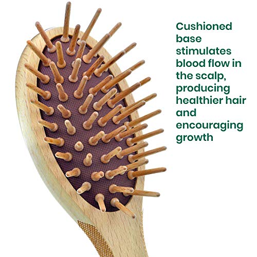 Giorgio Eco-Friendly Wooden Bristle Hairbrush GIO4 - Small Detangling Brush for Thick Hair