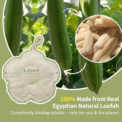 Travel Loofah Sponge - 100% Egyptian Exfoliating Bath Accessory (2 Pack)