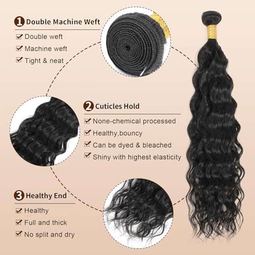 Quitoric 10-Inch Water Wave Human Hair Bundles - Brazilian Virgin Remy Hair
