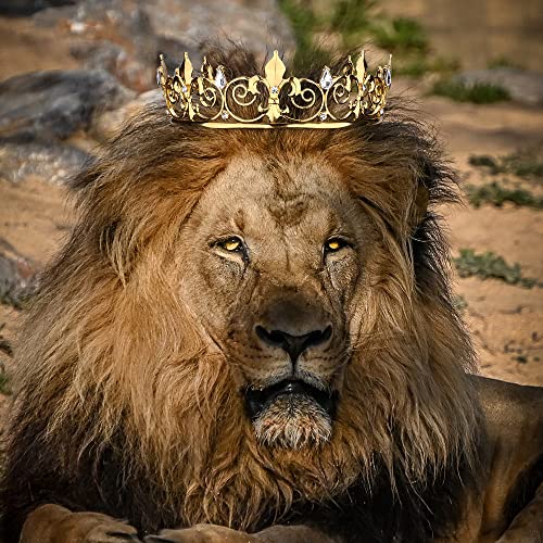 AOPRIE Gold King & Queen Artemis Tiara & Crown for Women & Men